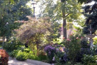 Business Directory WordPress plugin, photoby-Community-Open-House-898x344