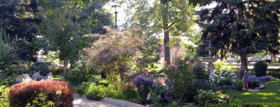 Business Directory WordPress plugin, photoby-Community-Open-House-898x344