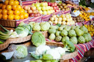 Business Directory WordPress plugin, photoby-martha-dominguez-de-gouveia