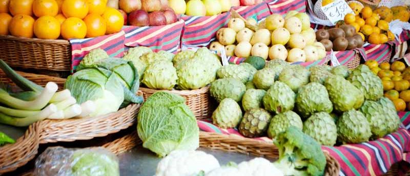 Business Directory WordPress plugin, photoby-martha-dominguez-de-gouveia